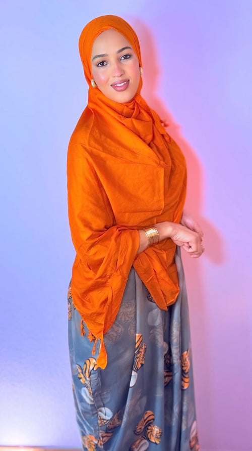 Bildhaan
